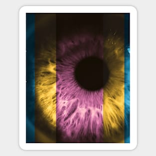 Colorful Iris Sticker